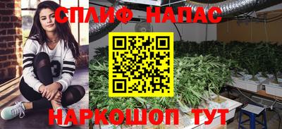 кокс Сланцы