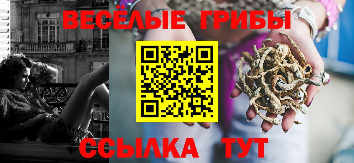как найти наркотики  Вход с VPN  Брянск  Галлюциногенные грибы мицелий 